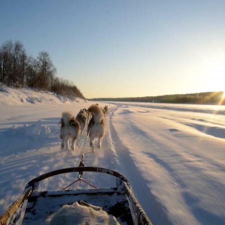 Arctic Home Rovaniemi Ngoại thất bức ảnh