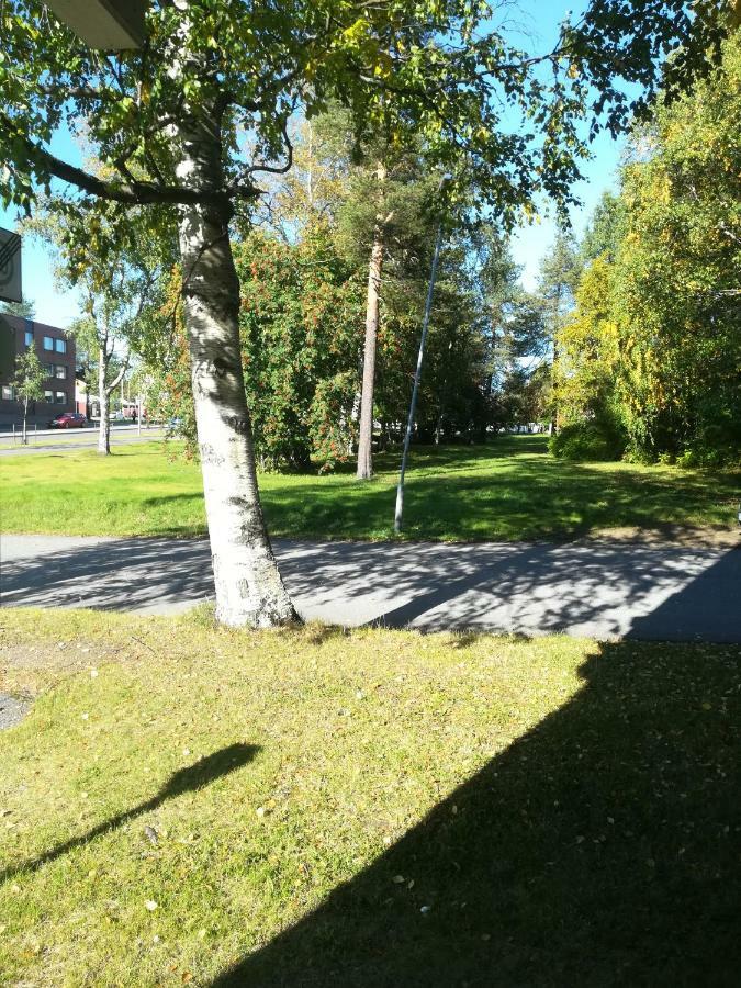 Arctic Home Rovaniemi Ngoại thất bức ảnh
